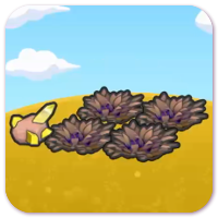 Smooth tall grass habitat image